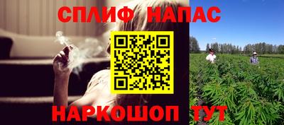 сатива Можга