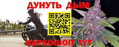 сатива Можга