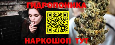 сатива Можга