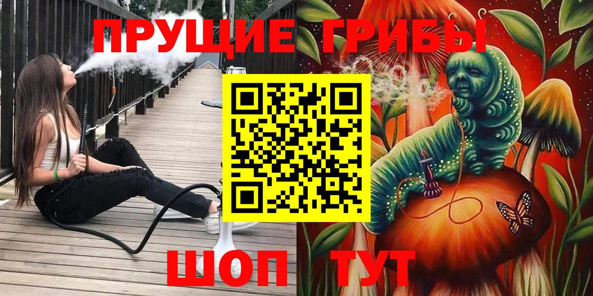 Галлюциногенные грибы Magic Shrooms  где найти наркотики  Элиста  Вход с VPN 
