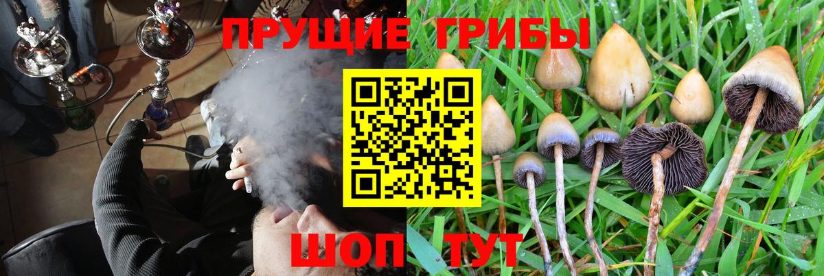 Псилоцибиновые грибы MAGIC MUSHROOMS Элиста